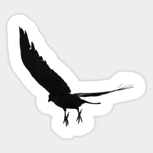 Raven - Spread Your Wings Sticker